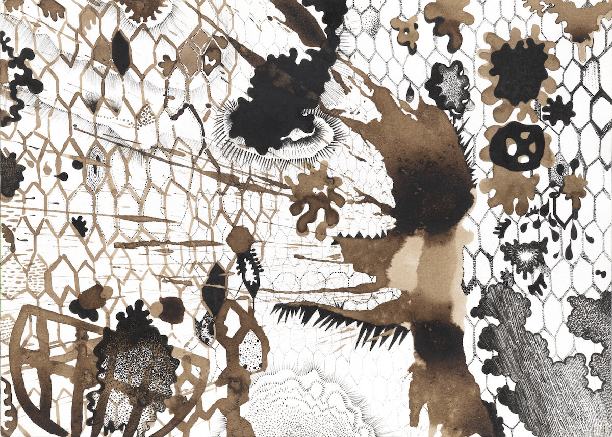 The Traps #20, 2020, water color, walnut and india ink on paper, 10 x 14 inches